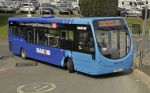 Diamond Bus Livery