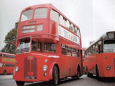 Midland Red